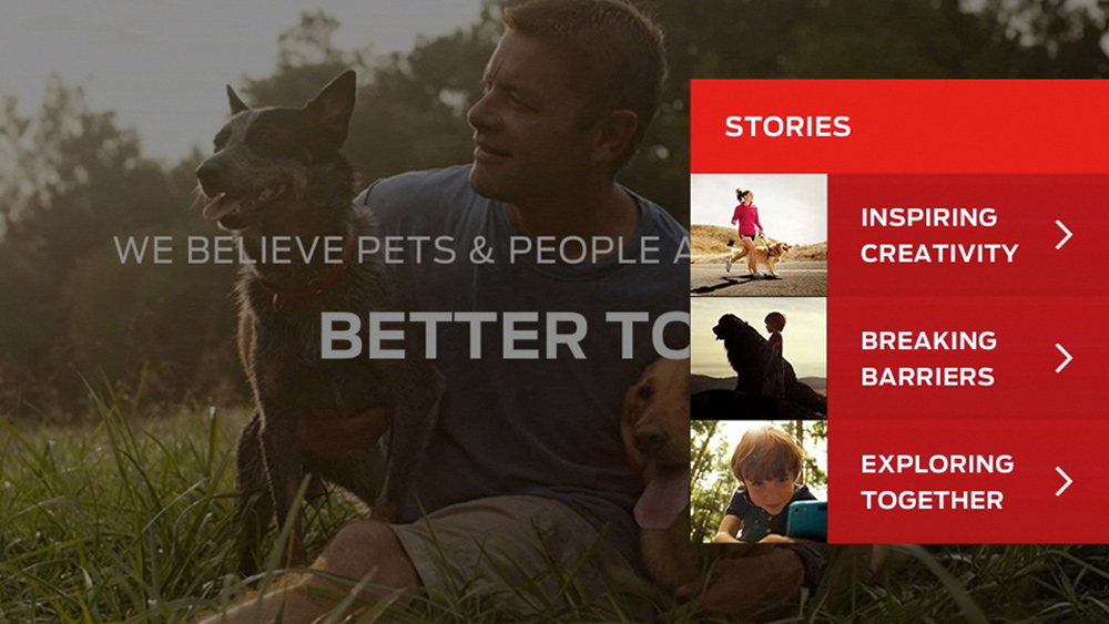 13Purina_stories