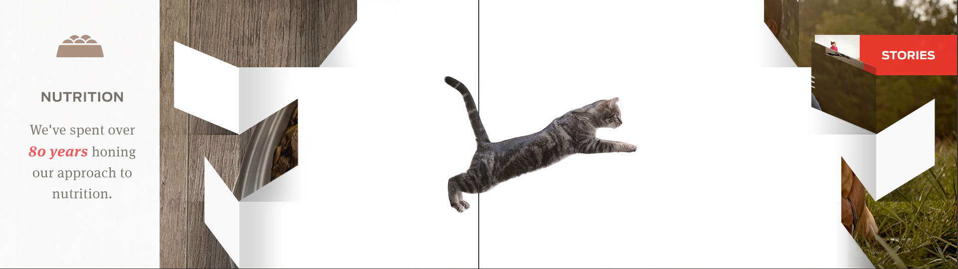 13RevealCat